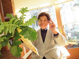 そよかぜデイサービス「大根収穫」