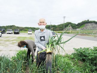 南知多町デイサービスセンターサテライト「玉ねぎの収穫」