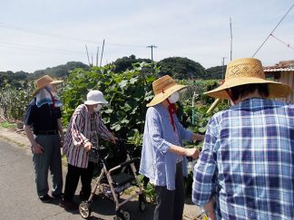 みなみ菟「散歩」